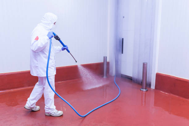 Best Paint Preparation  in Vallejo, CA